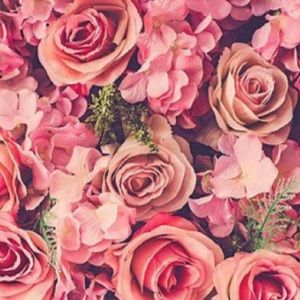 Meet your Posher, Kaylee